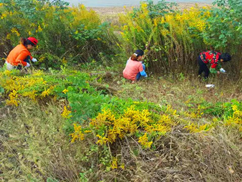 4 (1)_副本_副本.jpg